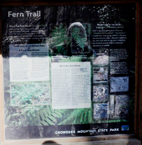 informative sign about the Fern Trail